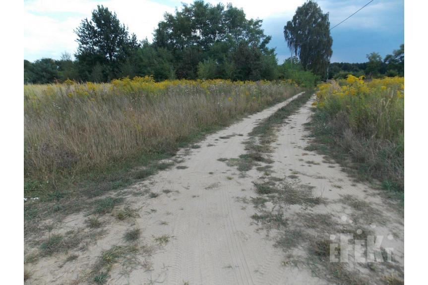 żyrardowski, Puszcza Mariańska, Korabiewice, Ogrodzona z prądem i wodą